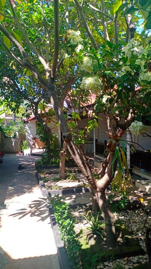 Gili Guest House Gili Air Zewnętrze zdjęcie